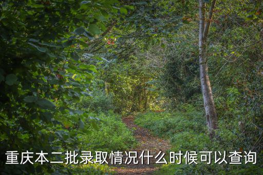 重慶本二批錄取情況什么時候可以查詢