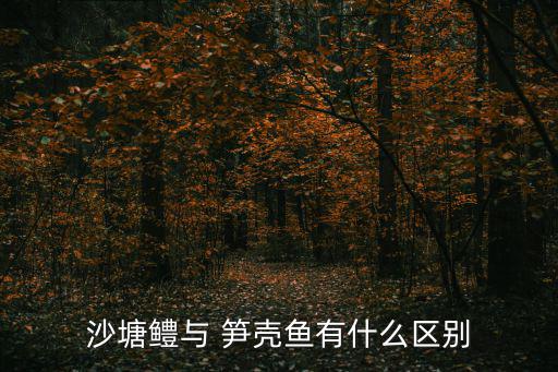 沙塘鱧與 筍殼魚有什么區別