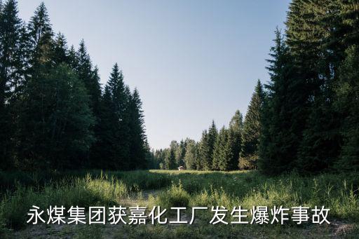 重慶市區一化工廠爆炸，1重慶市天原化工廠今年4月16日發生特大氯氣泄漏和三氯化氮爆炸
