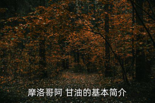摩洛哥阿 甘油的基本簡介