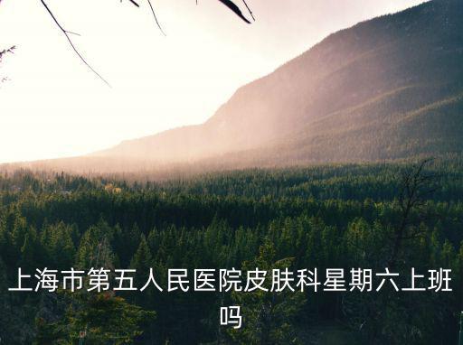 上海市第五人民醫(yī)院皮膚科星期六上班嗎