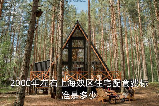 2000年左右上海效區住宅配套費標準是多少