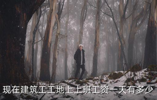 上海市建筑工地工資是多少錢，上海市建筑工人工資標(biāo)準(zhǔn)