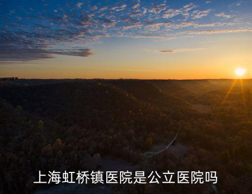 上海虹橋鎮(zhèn)醫(yī)院是公立醫(yī)院嗎