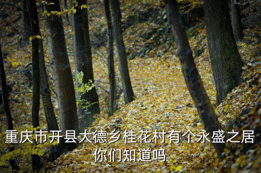 重慶市開縣大德鄉桂花村有個永盛之居你們知道嗎