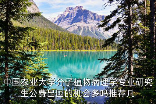 中國農業(yè)大學劉林，2013中國農業(yè)大學法學考研