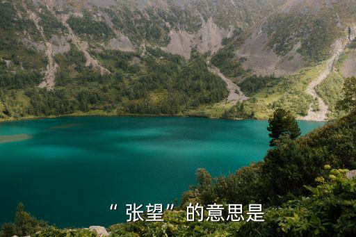 “ 張望”的意思是