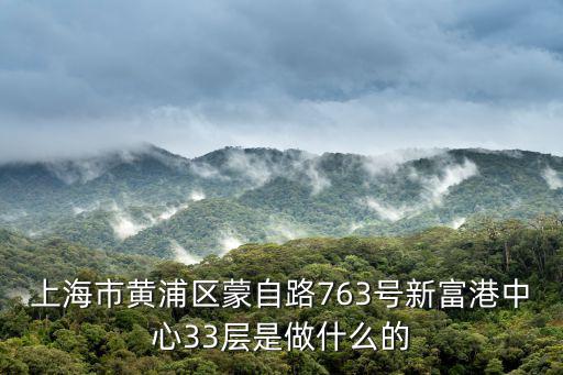 上海黃浦經(jīng)偵，上海市黃浦分局有沒有一個(gè)叫高正的