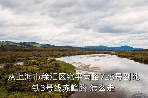 上海市宛平南路725號，上海龍華醫(yī)院在哪