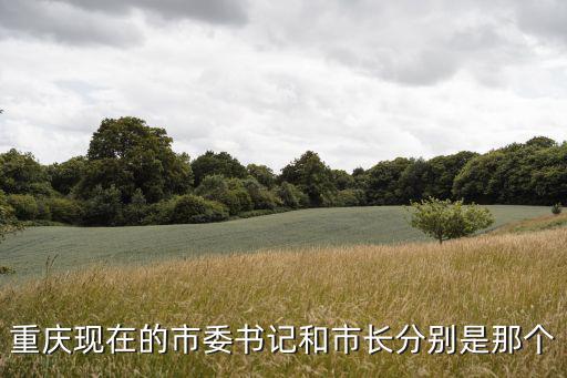 重慶市原市委書記是哪個(gè)啊，重慶現(xiàn)在的市委書記和市長(zhǎng)分別是那個(gè)