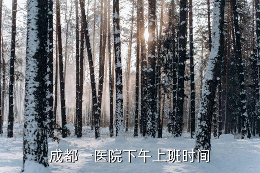 成都一醫(yī)院下午上班時(shí)間