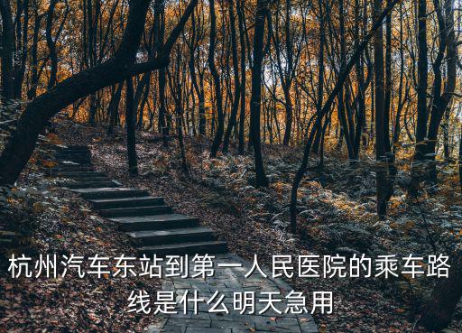 杭州汽車東站到第一人民醫(yī)院的乘車路線是什么明天急用