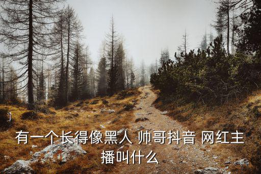 有一個(gè)長得像黑人 帥哥抖音 網(wǎng)紅主播叫什么