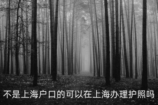 不是上海戶口的可以在上海辦理護照嗎