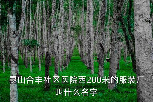 昆山合豐社區醫院西200米的服裝廠叫什么名字