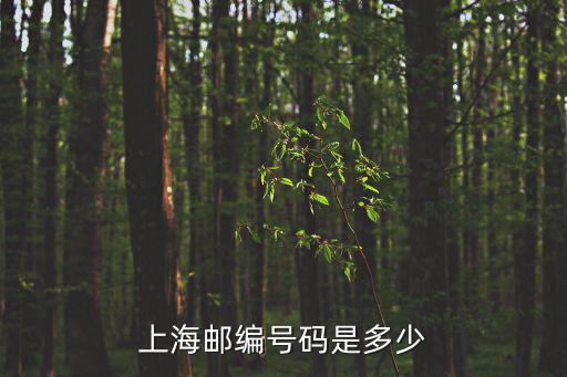 江蘇省上海市的郵政編碼是多少，上海郵編號(hào)碼是多少