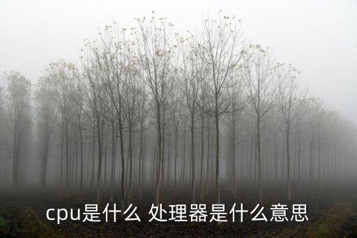 cpu是什么 處理器是什么意思