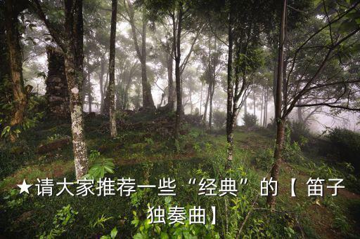 ★請大家推薦一些“經(jīng)典”的【 笛子 獨奏曲】