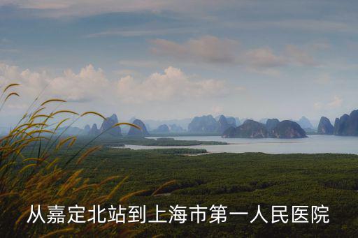 上海第一人民醫院分院嘉定，嘉定到上海第一人民醫院