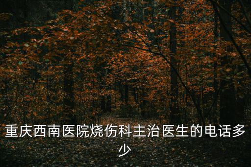 重慶西南醫院燒傷科主治醫生的電話多少