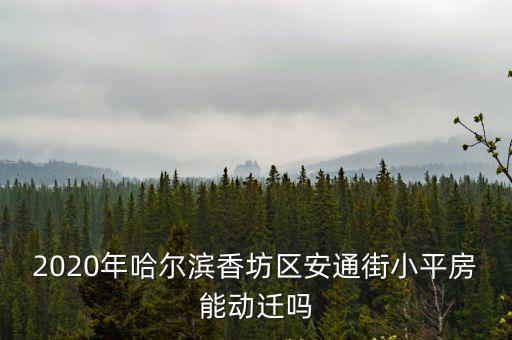 2020年哈爾濱香坊區(qū)安通街小平房能動(dòng)遷嗎