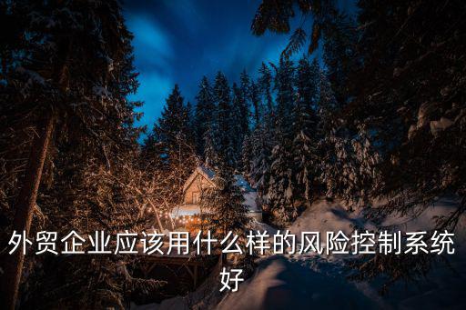 風險管控系統，信貸風險管理體系信貸企業都用什么風控系統