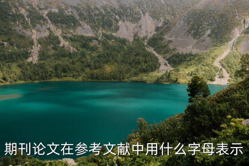 期刊論文在參考文獻中用什么字母表示