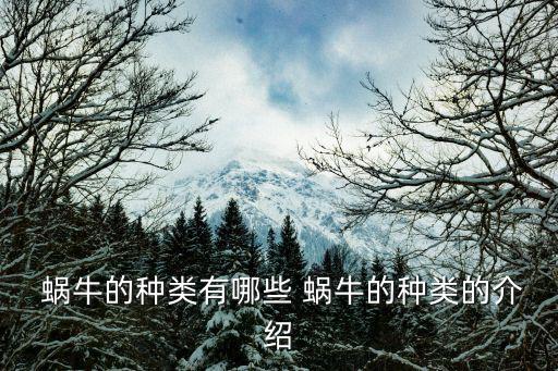 蝸牛的種類有哪些 蝸牛的種類的介紹