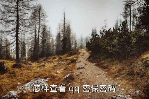 qq密保,如何使用小米11青春版?