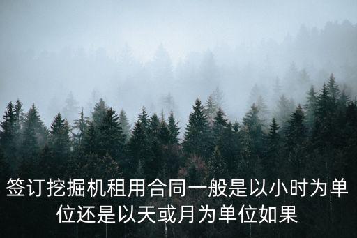 簽訂挖掘機(jī)租用合同一般是以小時(shí)為單位還是以天或月為單位如果