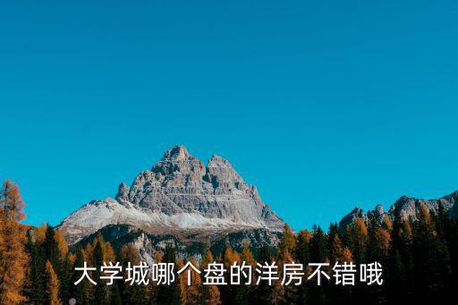 大學(xué)城哪個(gè)盤的洋房不錯(cuò)哦