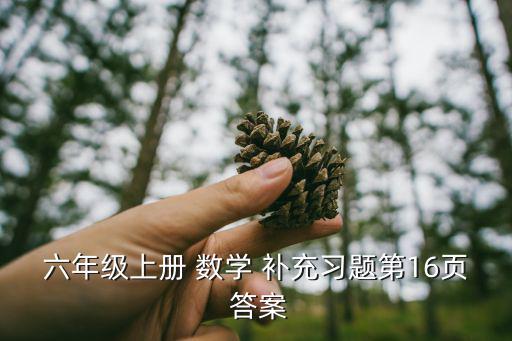 數學補充答案六上,第一題第二題填充形式是直升機