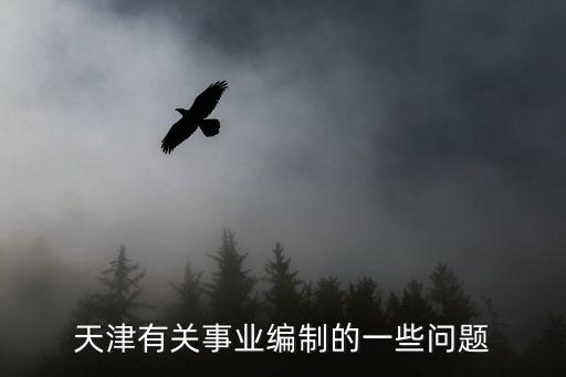 天津有關事業編制的一些問題