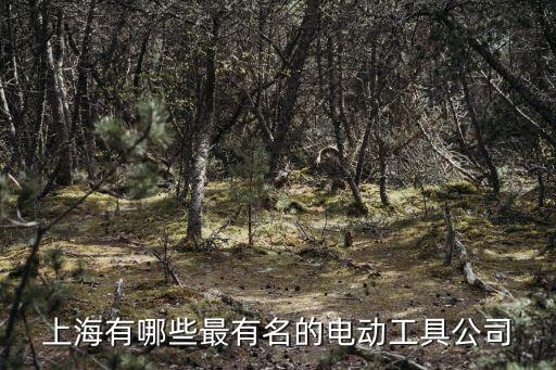 上海有哪些最有名的電動(dòng)工具公司