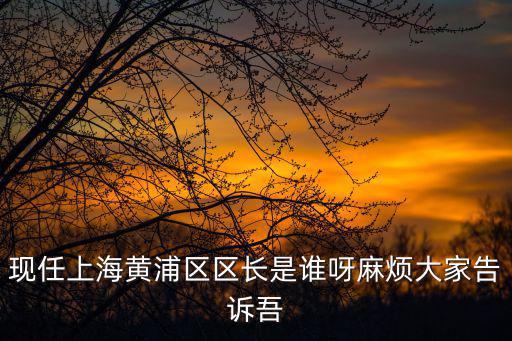 現(xiàn)任上海黃浦區(qū)區(qū)長是誰呀麻煩大家告訴吾