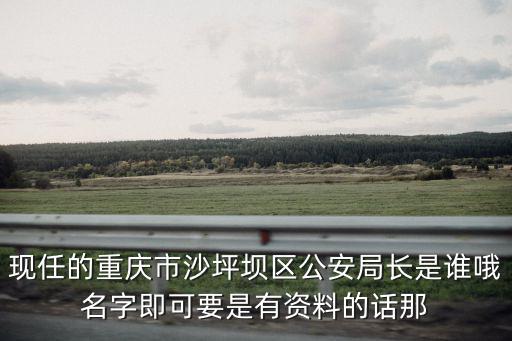 現任的重慶市沙坪壩區公安局長是誰哦名字即可要是有資料的話那