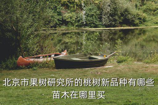 北京市果樹研究所的桃樹新品種有哪些苗木在哪里買