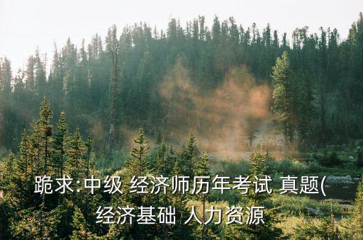 跪求:中級 經濟師歷年考試 真題(經濟基礎 人力資源