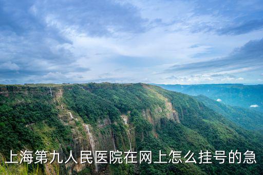 上海第九人民醫院在網上怎么掛號的急