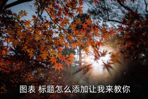  圖表 標題怎么添加讓我來教你
