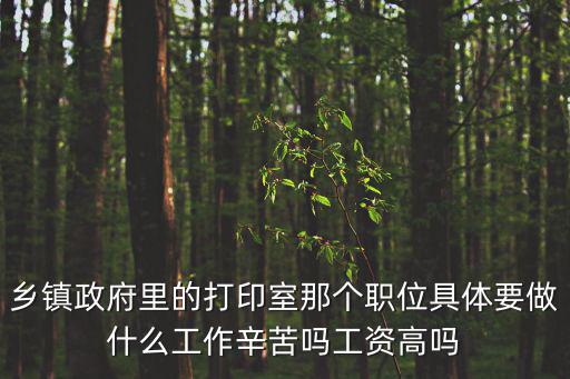 鄉鎮政府里的打印室那個職位具體要做什么工作辛苦嗎工資高嗎