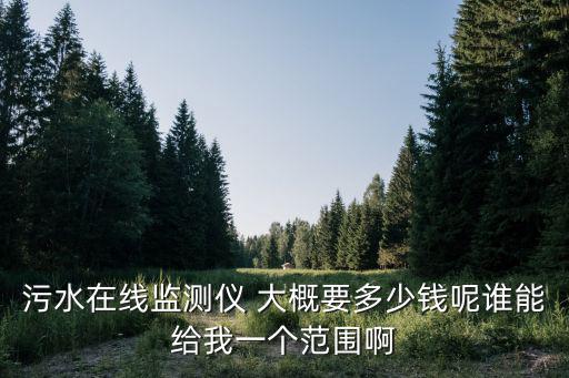 污水在線監測儀 大概要多少錢呢誰能給我一個范圍啊