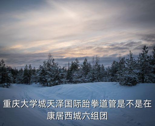 重慶大學城天澤國際跆拳道管是不是在康居西城六組團