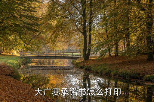  大廣賽承諾書怎么打印