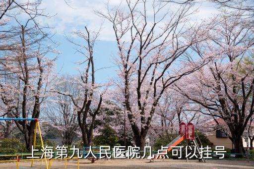 上海第九人民醫院幾點可以掛號