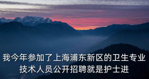 我今年參加了上海浦東新區的衛生專業技術人員公開招聘就是護士進