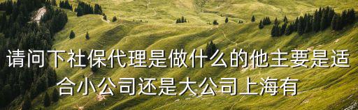 上海正規(guī)社保代繳機(jī)構(gòu)，誰(shuí)清楚上海助拓代繳社保靠譜嗎查了一下17年才成立貌似人力資