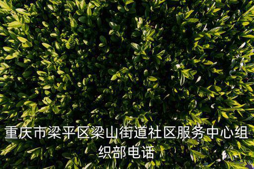 重慶市梁平區周玉平，重慶市梁平區梁山街道社區服務中心組織部電話