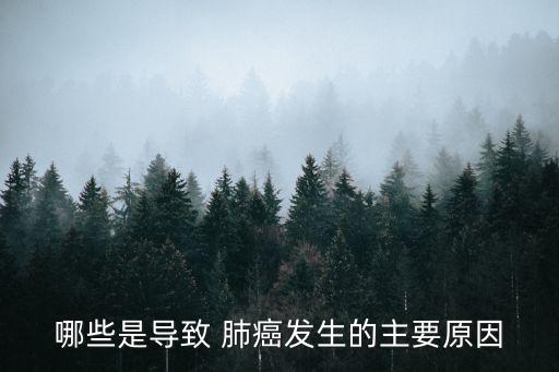 哪些是導(dǎo)致 肺癌發(fā)生的主要原因