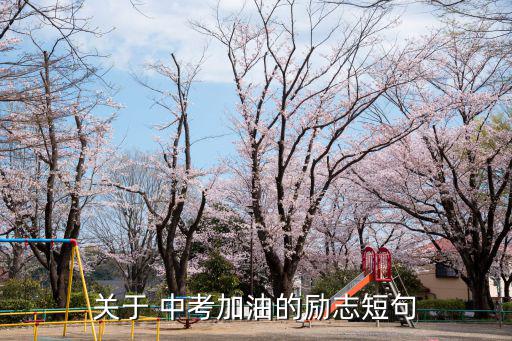 關于 中考加油的勵志短句